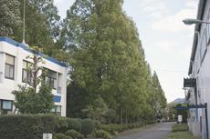 「滋賀」勤務での暮らし